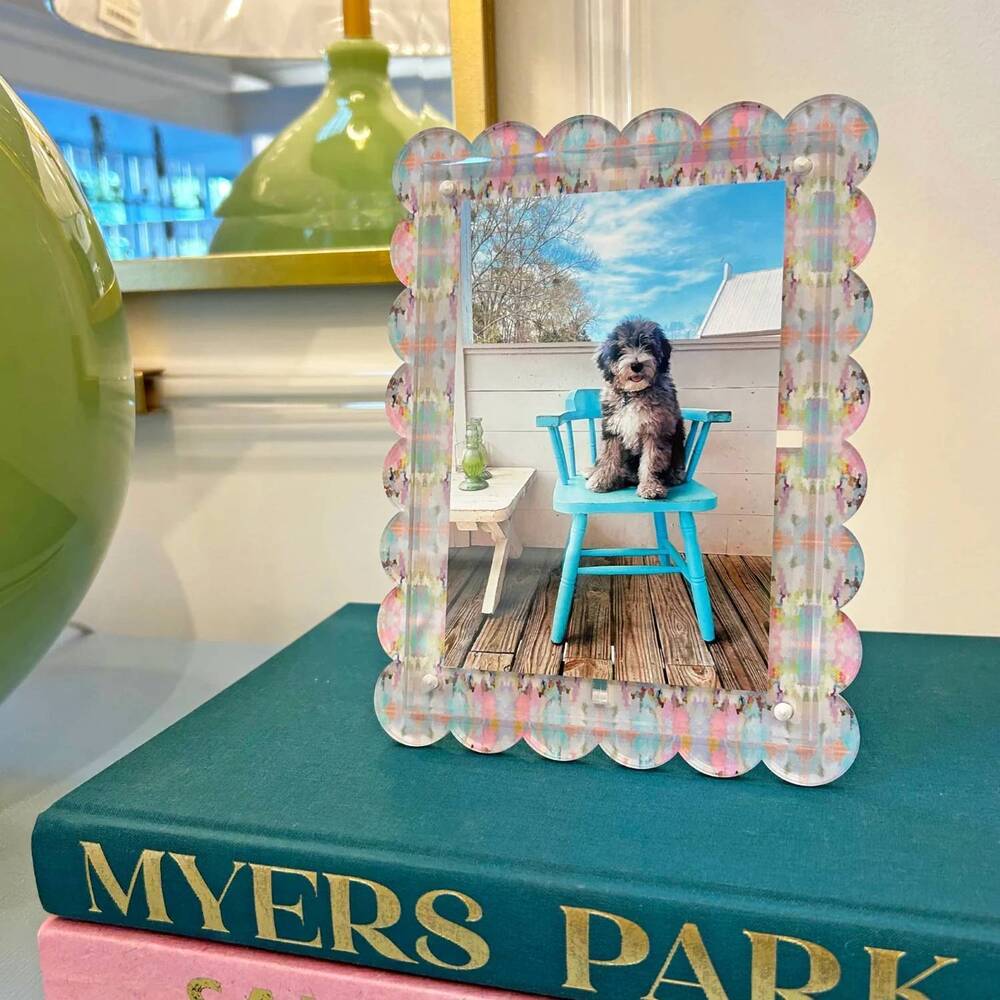 NEW LAURA PARK brooks avenue acrylic picture frame in multicolor
